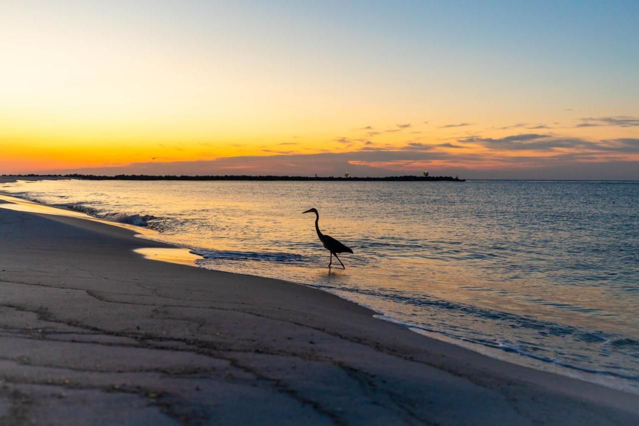 Perdido Beach Resort Орандж-Бич Экстерьер фото